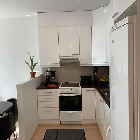 公寓 Holiday Home Turku City 图尔库